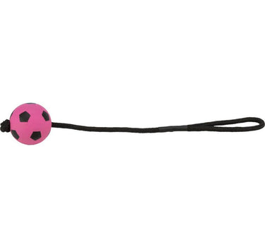 Trixie Sett med sportsballer med tau
