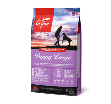 Orijen Dog Puppy Large Tørrfôr – Kvalitetsfôr for Store Valper