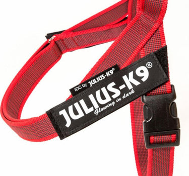 Julius-K9 IDC Color & Gray hundesele