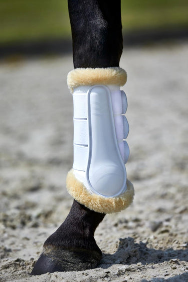 CATAGO Dressurgamasjer med lammeskinn 