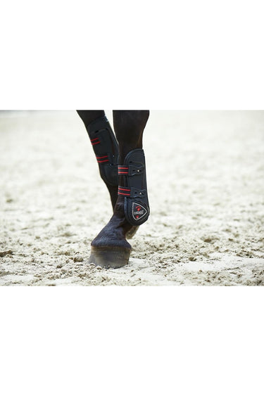 CATAGO FIR-Tech springgamache 