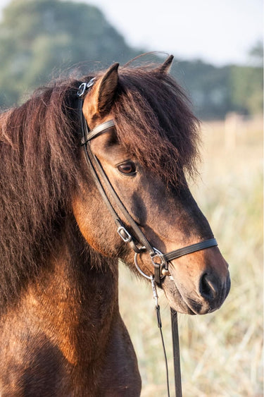 CATAGO Classic korsryggstøtte 