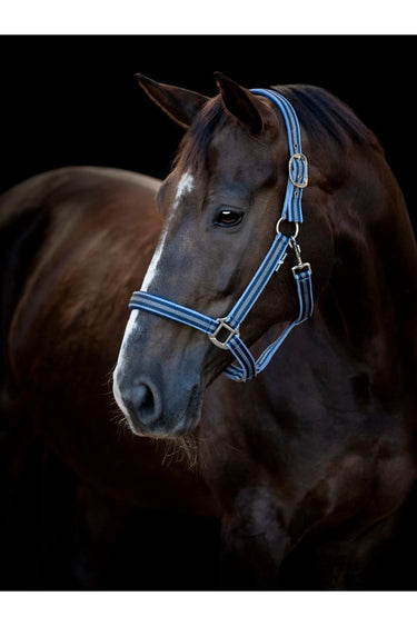 HorseGuard Taro grime