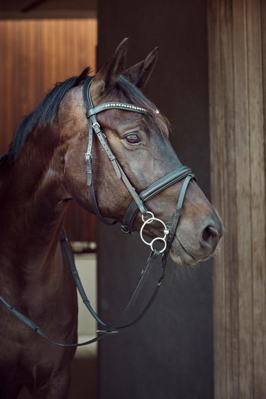 HorseGuard Universal Curve tredelt bid