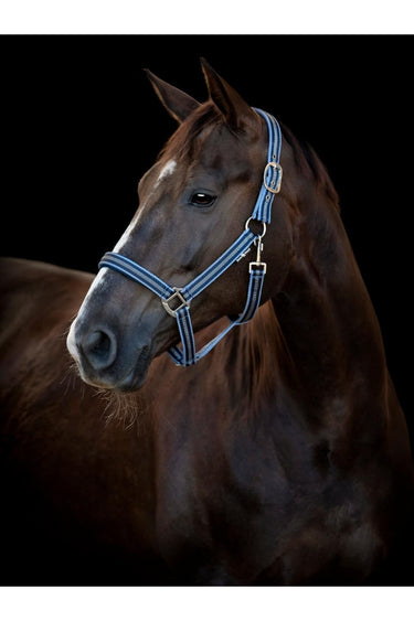 HorseGuard Taro grime