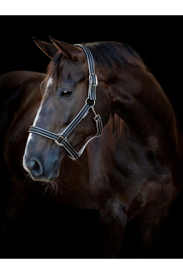 HorseGuard Taro grime