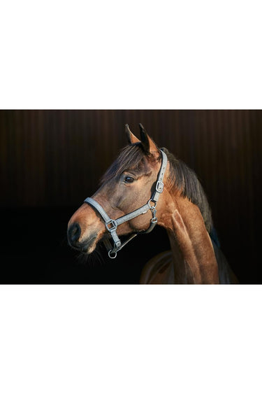 HorseGuard Lex grime