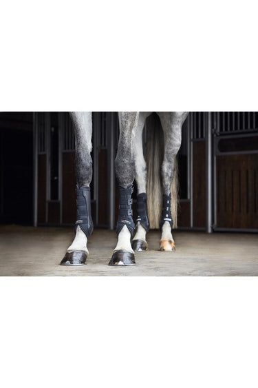 CATAGO Hybrid dressur gamacher 