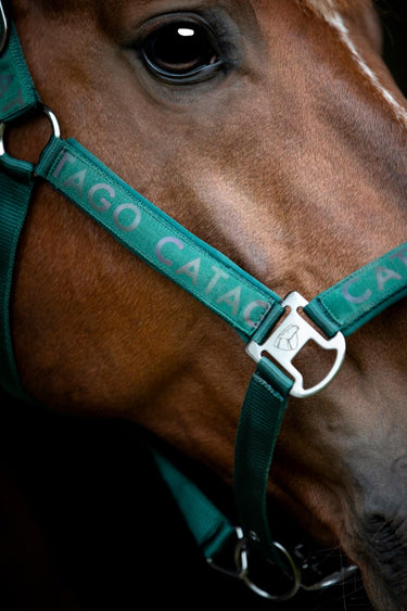 CATAGO Alea reflekterende logosmuss 