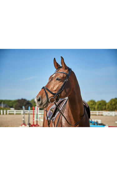 CATAGO Sienna springtrense m/kombineret næsebånd 
