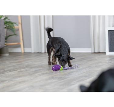 Trixie Aubergine på et tau