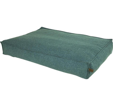 Fantail Stargaze Origin trekk