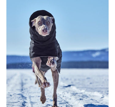 Hurtta Extreme Warmer III ECO hundedekken