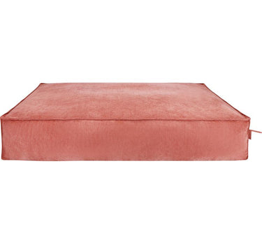 Fantail Stargaze Mellow hundemadrass
