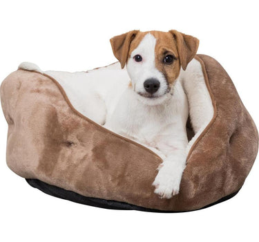 Trixie BASIC Edition Cosma Seng - (BASIC Edition)