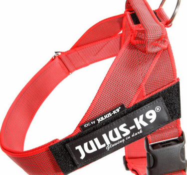 Julius-K9 IDC Color & Gray hundesele