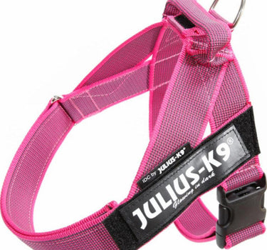 Julius-K9 IDC Color & Gray hundesele