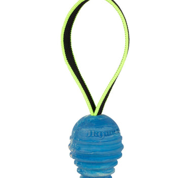 Julius-K9 Duoplay antibacterial ball