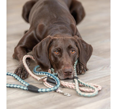 Trixie Cavo hundekobbel