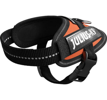 Julius-K9 IDC-hundesele