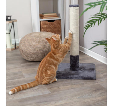 Trixie Batres scratching post