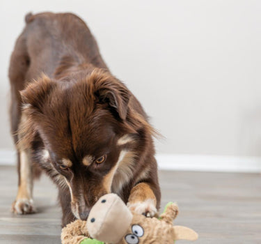 Trixie Ku, plysj/rep