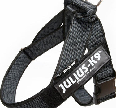 Julius-K9 IDC Color & Gray hundesele