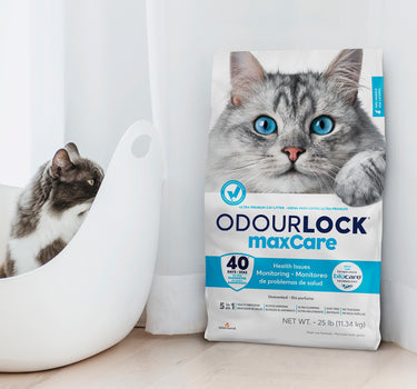 OdourLock Luktlås maxCare Kattesand 12 kg