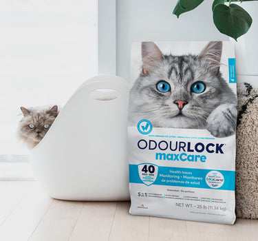 OdourLock Luktlås maxCare Kattesand 12 kg