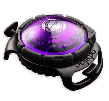 Orbiloc Purple Dual