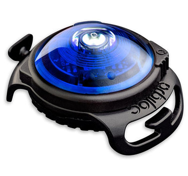 Orbiloc Blue Dual
