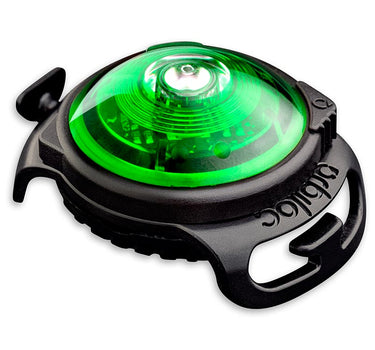 Orbiloc Green Dual
