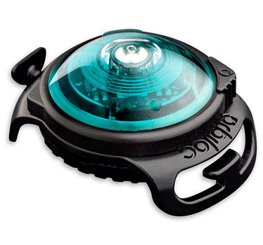 Orbiloc Turquoise Dual