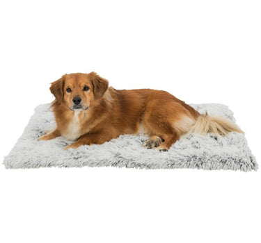 Trixie Harvey liggematte