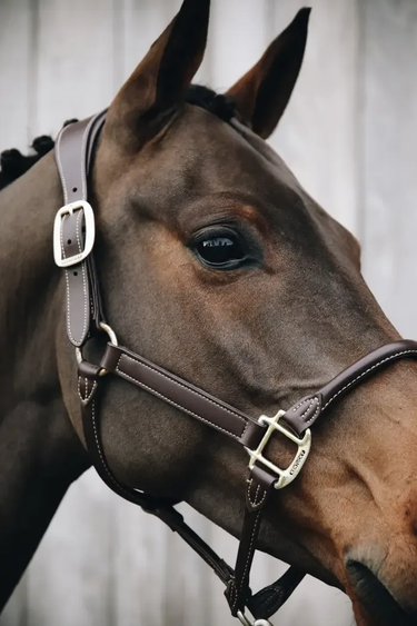 Kentucky Anatomic Lærgrime