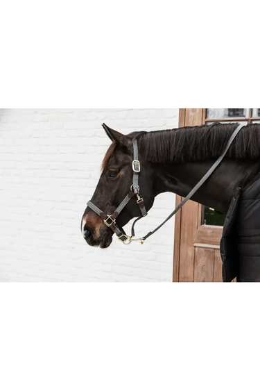 Kentucky Nylongrime Plaited