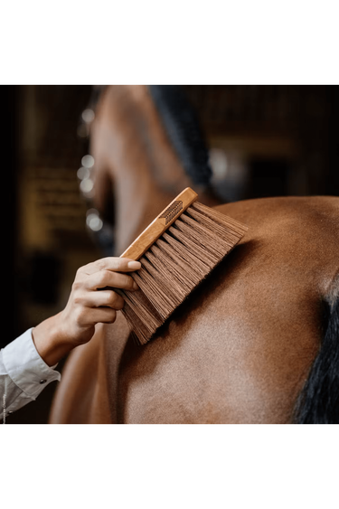 Grooming Deluxe Middle Brush Medium
