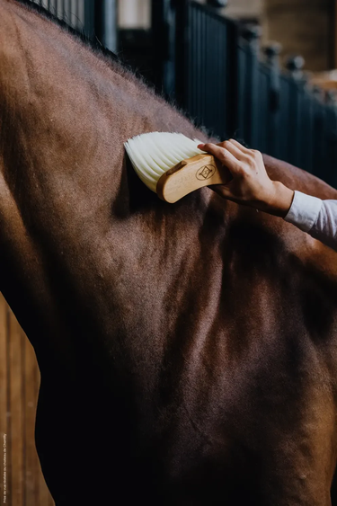 Grooming Deluxe Middle Brush Long