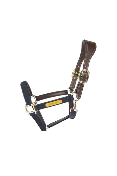Kentucky Nylongrime Anatomic