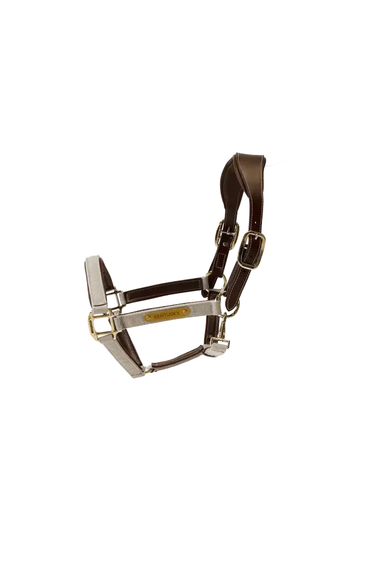 Kentucky Nylongrime Anatomic