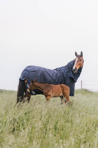 Kentucky Turnoutdekken All Weather Waterproof Comfort
