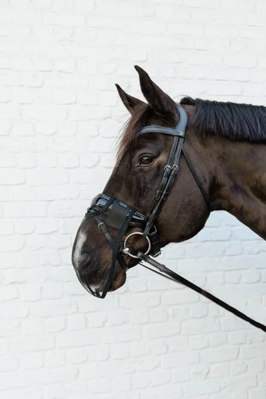 Kentucky Anti Fly Nose Net  fluemaske