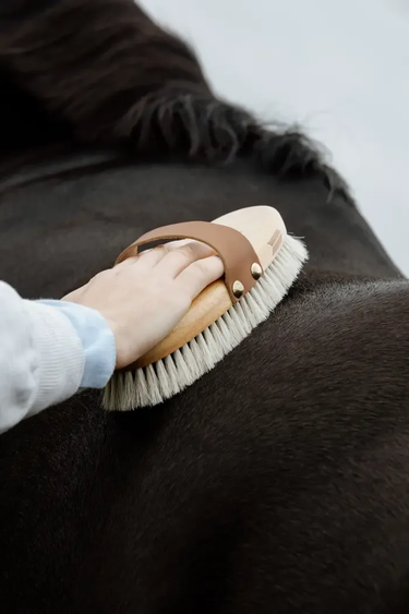 Grooming Deluxe Overall Brush Body Shine