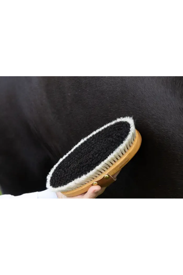 Grooming Deluxe Overall Brush Body Shine