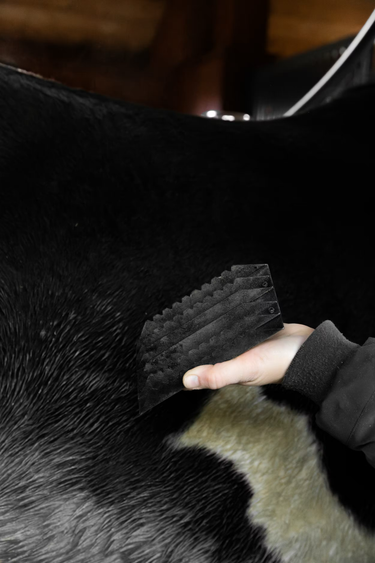 Grooming Deluxe Steel Curry Comb