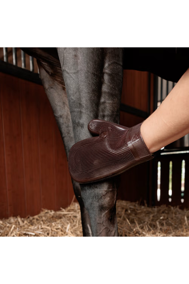 Grooming Deluxe Rubber Grooming Glove