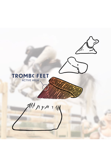 Grooming Deluxe Trombofeet Set of 10