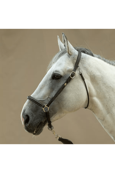 Dyon Grooming Grime Head Working By Dyon