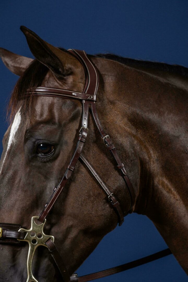 Dyon Hackamore Cheekpieces US Collection