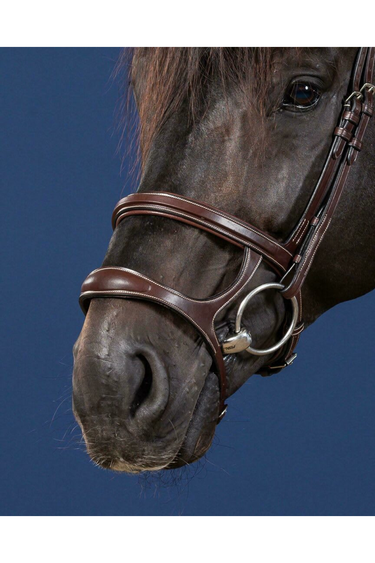 Dyon Double Noseband US Collection hodelag